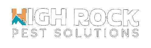 High Rock Pest Solutions